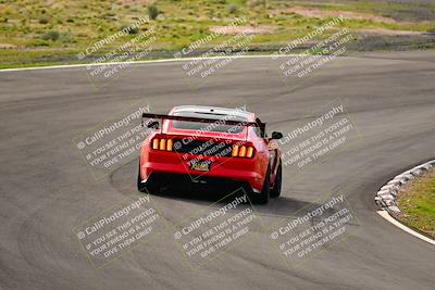 media/Feb-25-2024-Speed Ventures (Sun) [[b9a2a97a4d]]/Mustang Drivers Club/Session 1 (Turns 4 and 5)/
